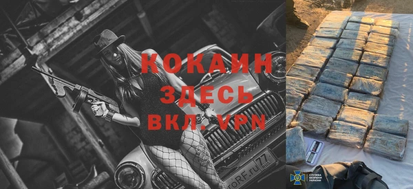 спиды Шали